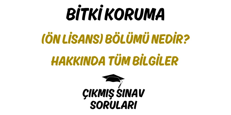 Bitki Koruma (Ön Lisans) Bölümü Nedir? Hakkında Tüm Bilgiler