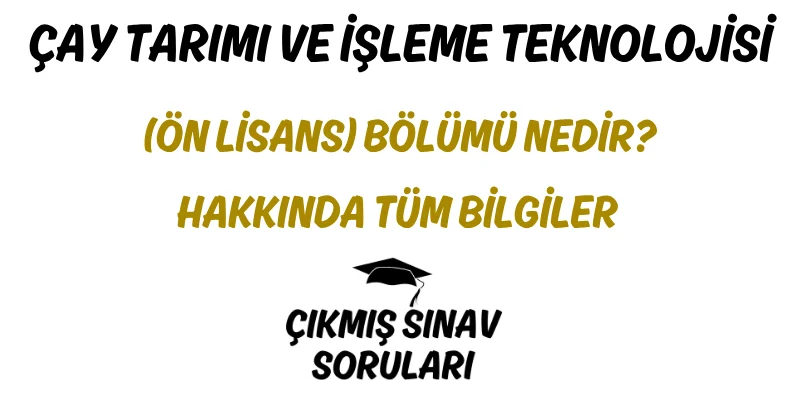 Çay Tarımı ve İşleme Teknolojisi (Ön Lisans) Bölümü Nedir? Hakkında Tüm Bilgiler