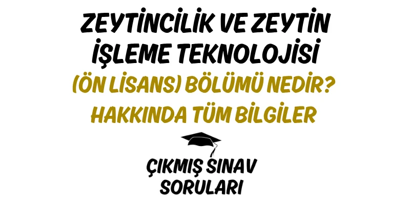 Zeytincilik ve Zeytin İşleme Teknolojisi (Ön Lisans) Bölümü Nedir? Hakkında Tüm Bilgiler