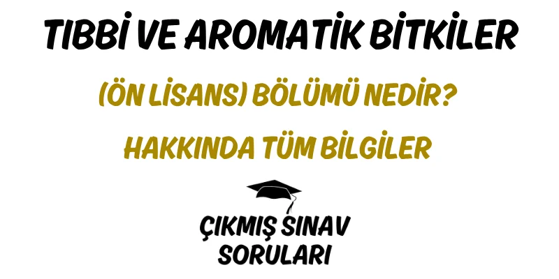 Tıbbi ve Aromatik Bitkiler (Ön Lisans) Bölümü Nedir? Hakkında Tüm Bilgiler