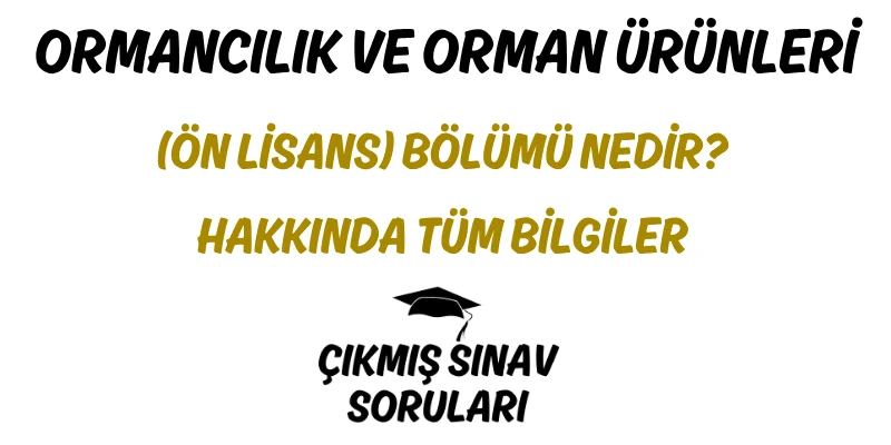 Ormancılık ve Orman Ürünleri (Ön Lisans) Bölümü Nedir? Hakkında Tüm Bilgiler
