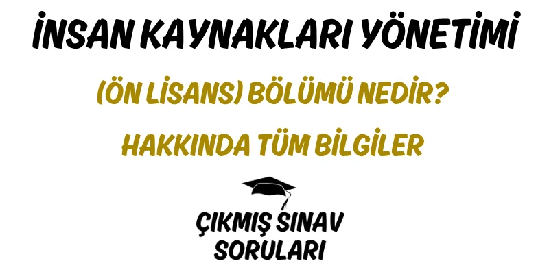 İnsan Kaynakları Yönetimi (Ön Lisans) Bölümü Nedir? Hakkında Tüm Bilgiler