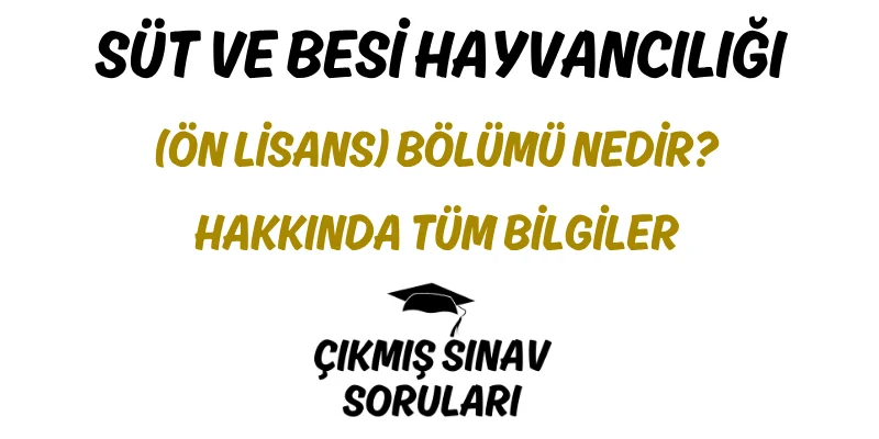 Süt ve Besi Hayvancılığı (Ön Lisans) Bölümü Nedir? Hakkında Tüm Bilgiler