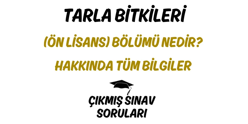 Tarla Bitkileri (Ön Lisans) Bölümü Nedir? Hakkında Tüm Bilgiler