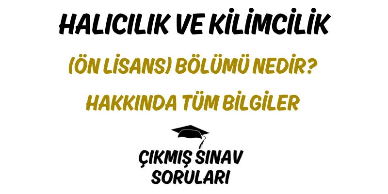 Halıcılık ve Kilimcilik (Ön Lisans) Bölümü Nedir? Hakkında Tüm Bilgiler