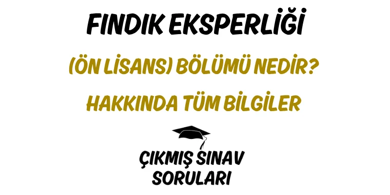 Fındık Eksperliği (Ön Lisans) Bölümü Nedir? Hakkında Tüm Bilgiler