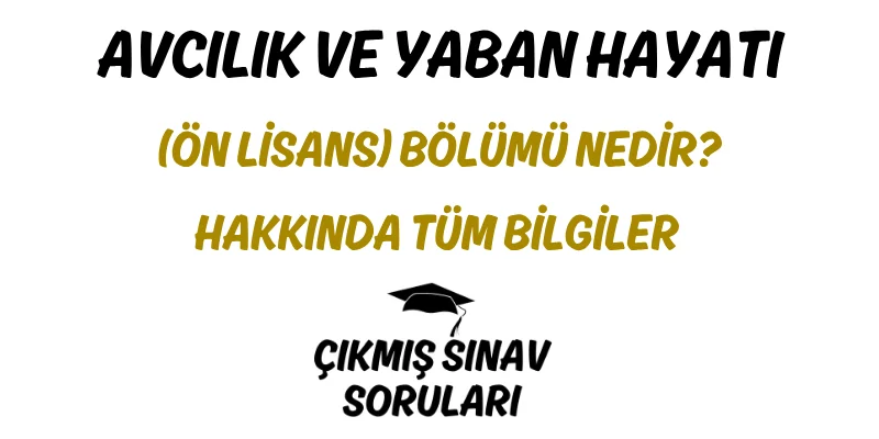 Avcılık ve Yaban Hayatı (Ön Lisans) Bölümü Nedir? Hakkında Tüm Bilgiler