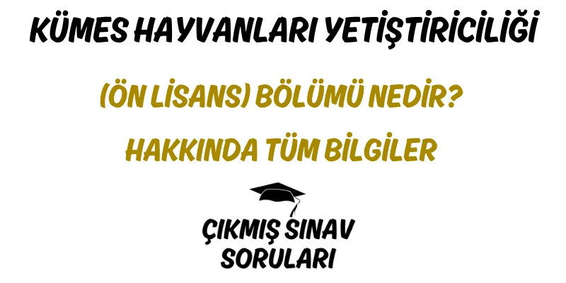 Kümes Hayvanları Yetiştiriciliği (Ön Lisans) Bölümü Nedir? Hakkında Tüm Bilgiler